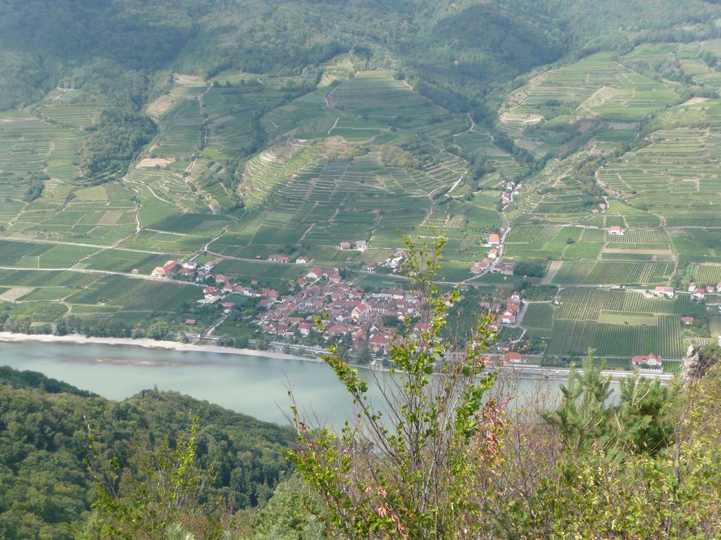 Weingut Langmayer Wosendorf in der Wachau Luaran gambar