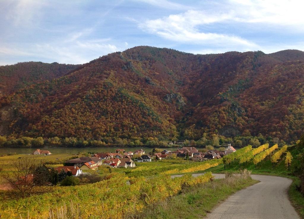 Weingut Langmayer Wosendorf in der Wachau Luaran gambar
