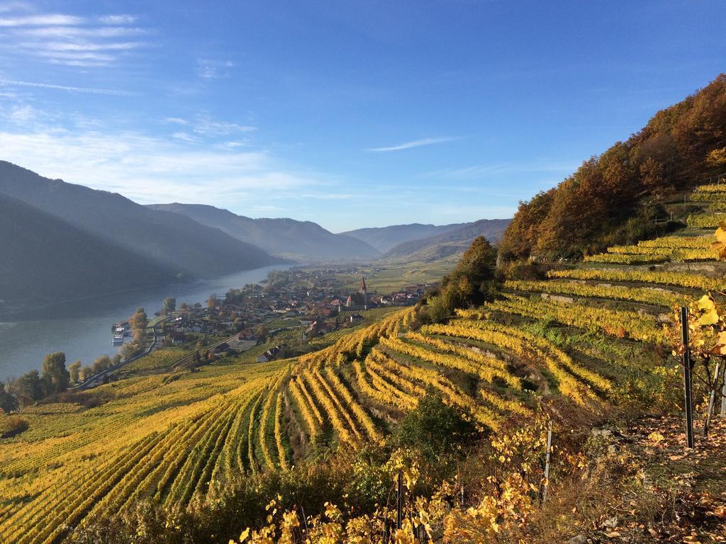 Weingut Langmayer Wosendorf in der Wachau Luaran gambar