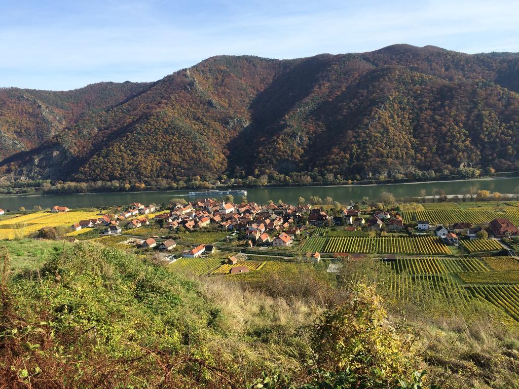 Weingut Langmayer Wosendorf in der Wachau Luaran gambar